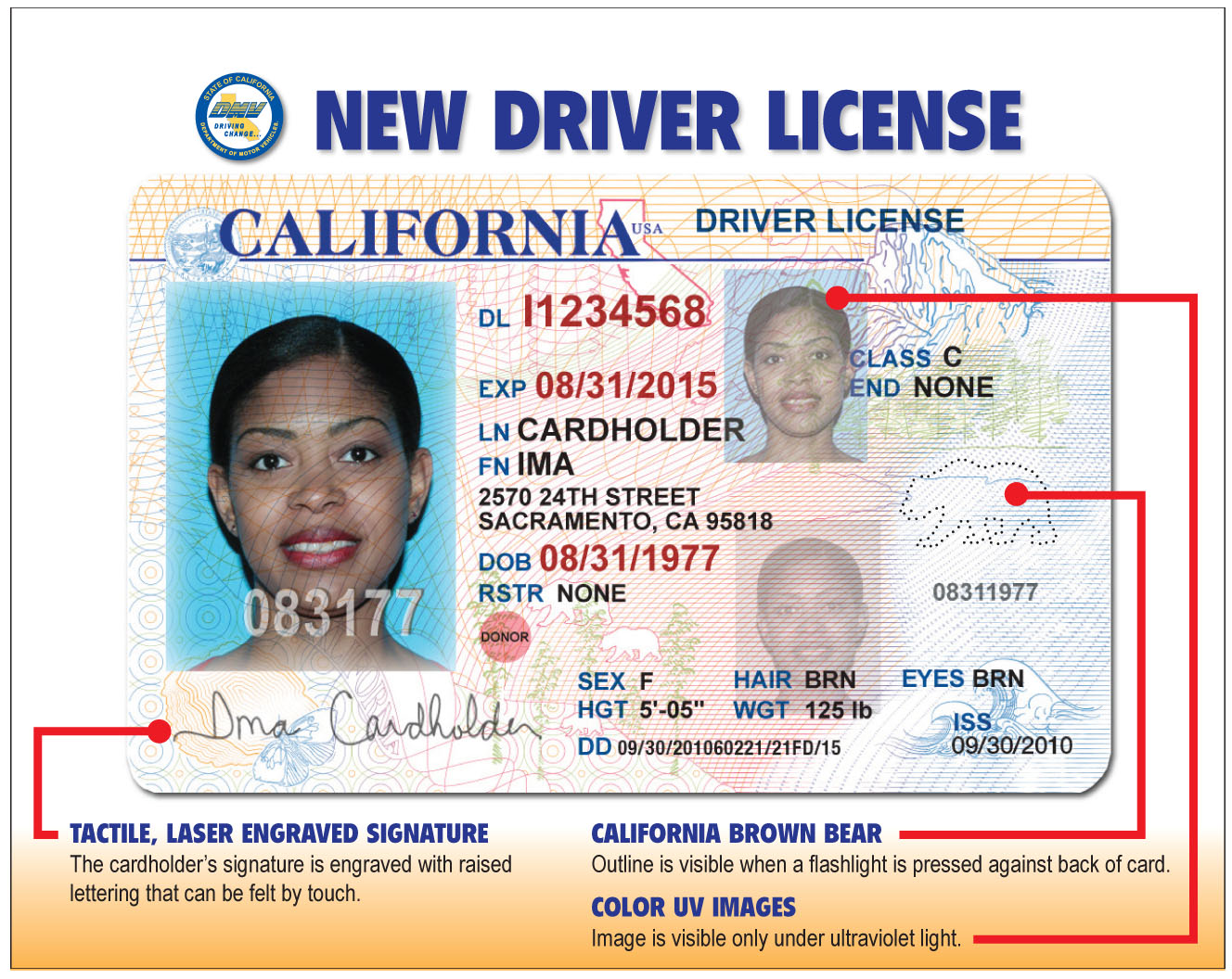 find a driver's license number